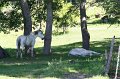 IMG_6702