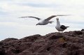 IMG_6890