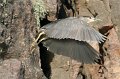 IMG_7167