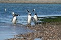 IMG_7205