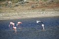 IMG_7241