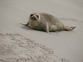 Patagonien_0479