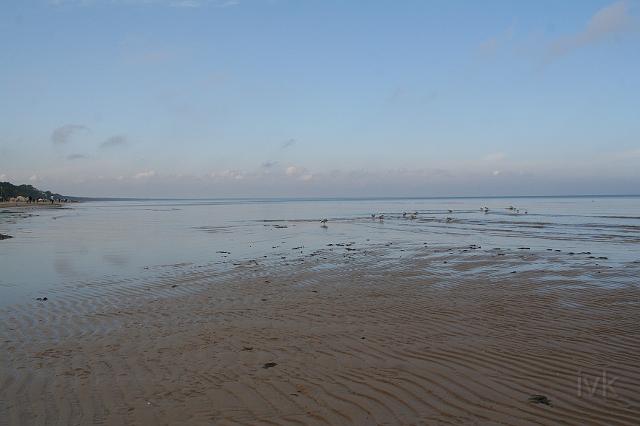 IMG_7898.JPG