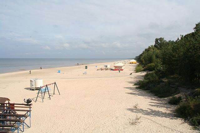 IMG_7925.JPG