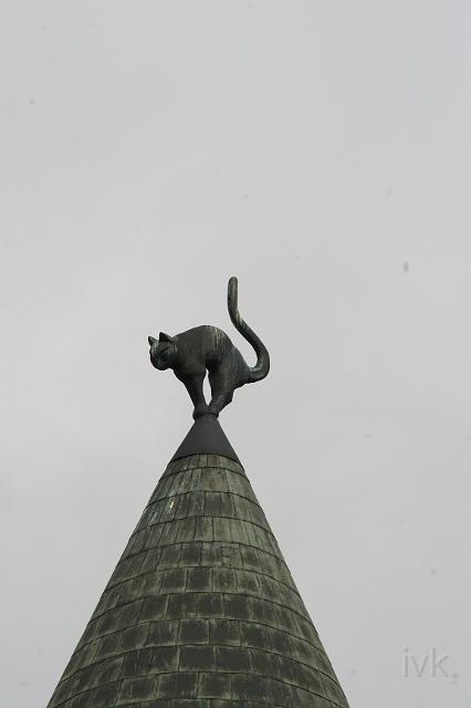 IMG_8109.JPG