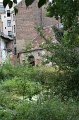 IMG_7823