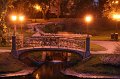 IMG_7861