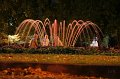 IMG_8015