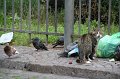 IMG_8073