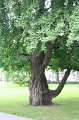 IMG_8186