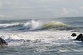 IMG_0155