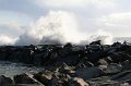 IMG_0157