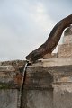 IMG_0176