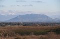 IMG_0181