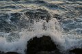 IMG_0268