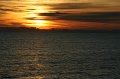 IMG_0270