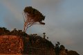 IMG_0279