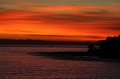 IMG_0299