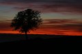 IMG_0302