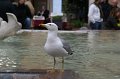 IMG_0315