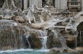 IMG_0339