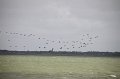 IMG_0003