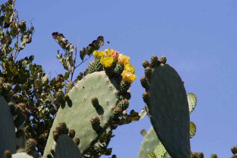 IMG_1666.jpg