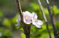IMG_1629