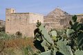 IMG_1636