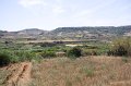 IMG_1656