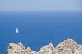 IMG_1664