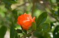 IMG_1684