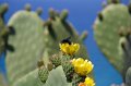 IMG_1688
