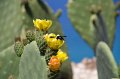 IMG_1689