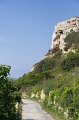 IMG_1706