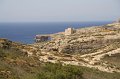 IMG_1774