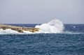 IMG_1816