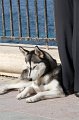 IMG_1912