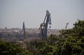 IMG_1953