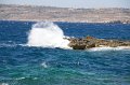 IMG_1961