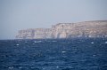 IMG_1962