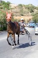 IMG_1971
