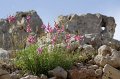 IMG_1984