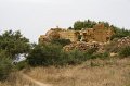 IMG_1988