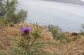 IMG_1990