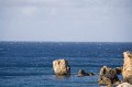 IMG_2009