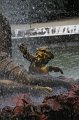IMG_2368
