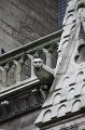 IMG_2403