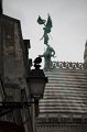 IMG_2409