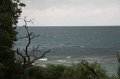IMG_2451